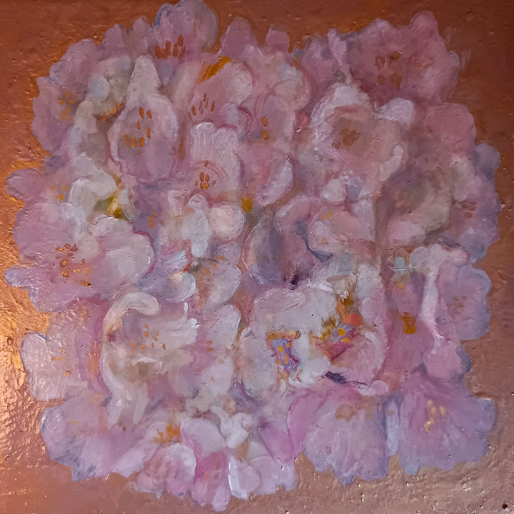 四角い赤の桜